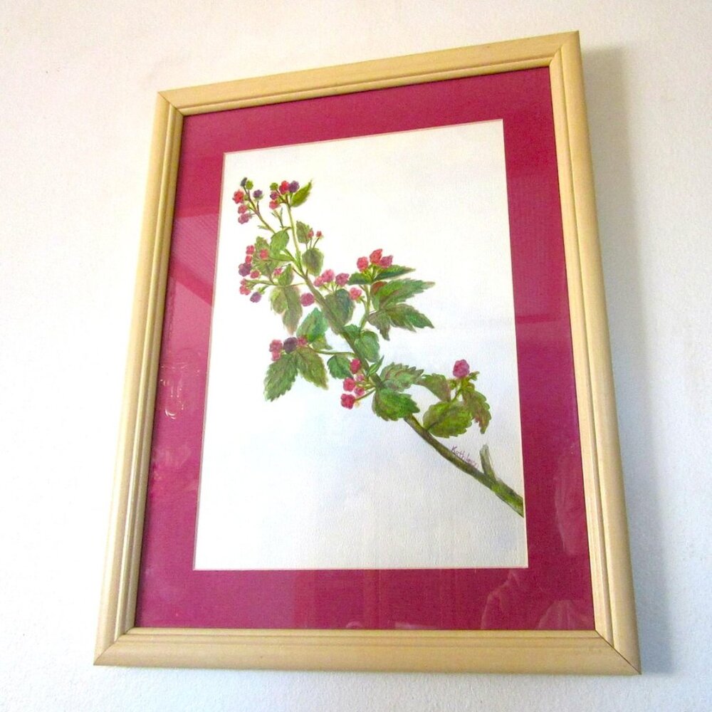 Framed Watercolor Painting Raspberries Original Artwork 19x15 Signed Authentic